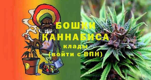 дживик Новодвинск