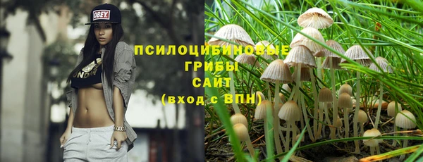 ПСИЛОЦИБИНОВЫЕ ГРИБЫ Нязепетровск