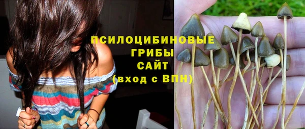 ПСИЛОЦИБИНОВЫЕ ГРИБЫ Нязепетровск