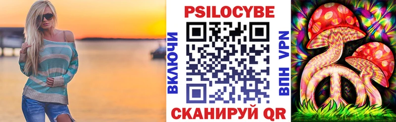 наркотики  Камбарка  Псилоцибиновые грибы мицелий 