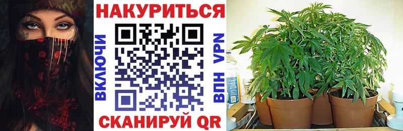 Каннабис Amnesia  даркнет клад  Камбарка 